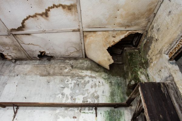 Water Damage Service in Birmingham