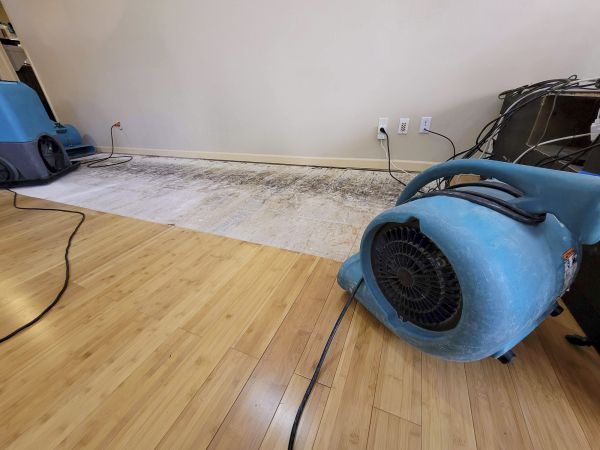 Water Damage Mitigation in Birmingham