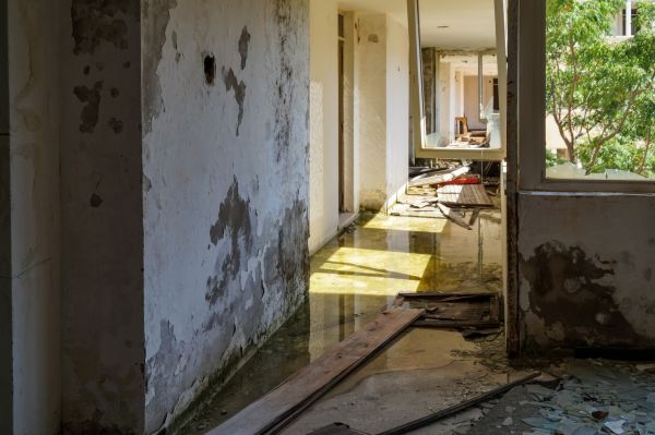 Cost of Water Removal Service in Birmingham